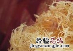海龙须菜怎么吃 海龙须菜怎么吃最合适