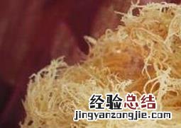 海龙须菜怎么吃 海龙须菜怎么吃最合适