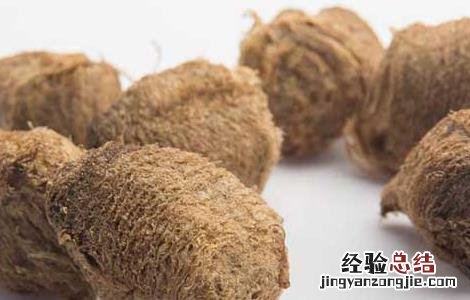 桑螵蛸的功效与作用主要治什么病 桑螵蛸的功效与作用
