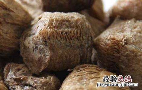 桑螵蛸的功效与作用主要治什么病 桑螵蛸的功效与作用