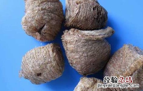 桑螵蛸的功效与作用主要治什么病 桑螵蛸的功效与作用