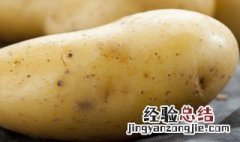 鱿鱼炒土豆的做法 土豆炒鱿鱼怎么做好吃