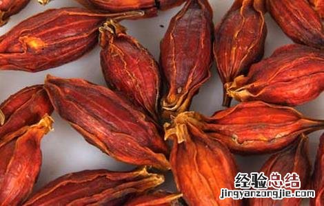 山栀子的功效与作用 山栀子的功效与作用图片