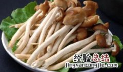 茶树菇泡多久有毒 茶树菇泡时间长了有毒吗