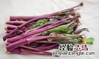 红菜苔隔夜可以吃吗 红菜苔隔夜能吃吗