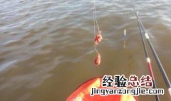 软粘饵需要加拉丝粉? 饵和拉丝粉怎么使用