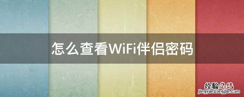 苹果手机怎么用wifi伴侣查看密码 怎么查看WiFi伴侣密码