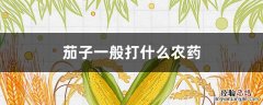 茄子一般打什么农药好 茄子一般打什么农药