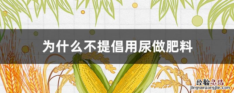 为什么不提倡用尿做肥料 尿可以作为肥料吗
