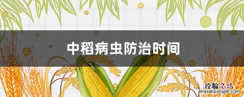今年中稻病虫防治时间 中稻病虫防治时间