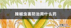辣椒虫害防治用什么药最好 辣椒虫害防治用什么药