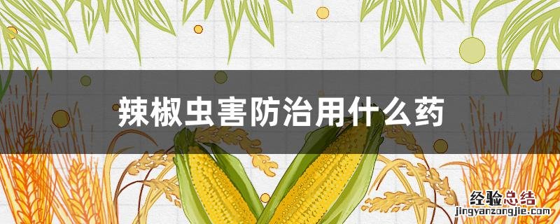 辣椒虫害防治用什么药最好 辣椒虫害防治用什么药