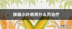 辣椒小叶病用什么药治疗 辣椒小叶病该用什么药