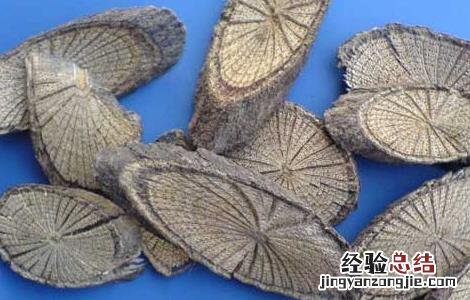 青风藤的功效与作用点的功效与作用 青风藤的功效与作用