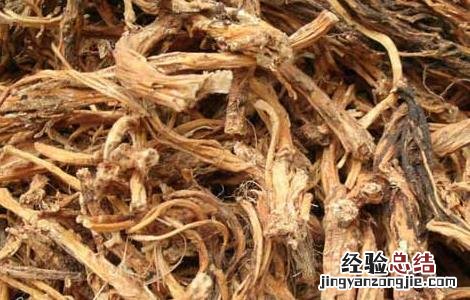 秦艽的功效与作用禁忌 秦艽的功效与作用