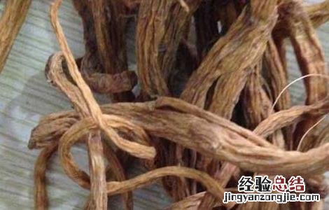 秦艽的功效与作用禁忌 秦艽的功效与作用