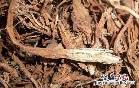 秦艽的功效与作用禁忌 秦艽的功效与作用