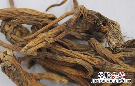 秦艽的功效与作用禁忌 秦艽的功效与作用