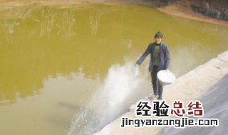 鱼塘下尿素多久鱼开口呢 鱼塘下尿素多久鱼开口