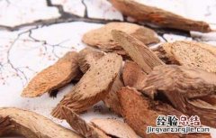 千年健的功效与作用 千年健的功效与作用及用量