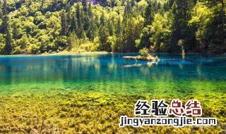 九寨沟旅游攻略 九寨沟旅游攻略自由行三天