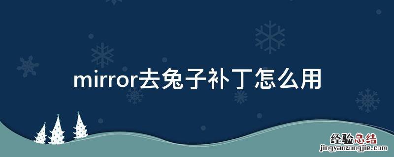 mirror去兔子补丁怎么用 mirror去兔子补丁怎么用 附安装包
