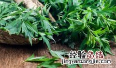 艾叶煮鸡蛋什么人不能吃 艾叶煮鸡蛋有什么禁忌