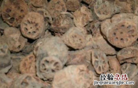 藕节芦根煮水的功效 藕节的功效与作用