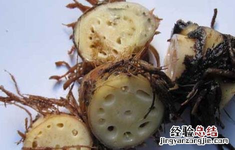 藕节芦根煮水的功效 藕节的功效与作用