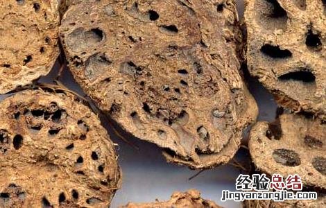 藕节芦根煮水的功效 藕节的功效与作用