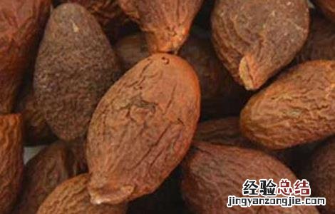 胖大海的功效与作用 胖大海的功效与作用一天泡几粒