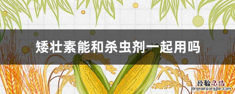 矮壮素和什么农药一起用 矮壮素能和杀虫剂一起用吗