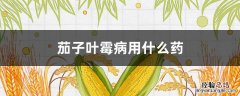 茄子叶霉病用什么药 番茄叶霉病用什么药