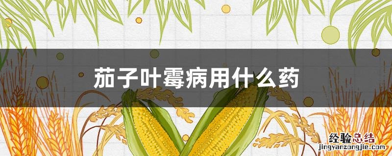 茄子叶霉病用什么药 番茄叶霉病用什么药