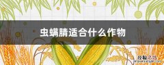 虫螨腈对什么作物有药害 虫螨腈适合什么作物