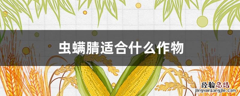 虫螨腈对什么作物有药害 虫螨腈适合什么作物