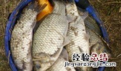 钓鱼一般铅皮多宽 钓行程需要加多少铅皮