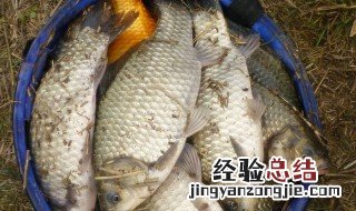钓鱼一般铅皮多宽 钓行程需要加多少铅皮