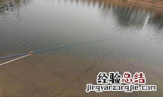 河边能用抄网抓鱼吗 三月份用网抄怎么在小河里捕鱼