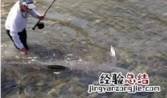 钓鱼的浮漂两目加粗的好还是不加粗的好 有什么区别