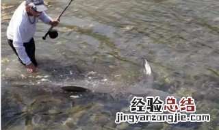 钓鱼的浮漂两目加粗的好还是不加粗的好 有什么区别