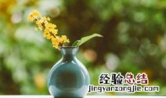 安之若素什么意思(虚怀若谷安之若素意思 虚怀若谷安之若素意思