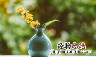 安之若素什么意思(虚怀若谷安之若素意思 虚怀若谷安之若素意思