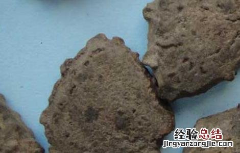 中药木鳖子的功效与作用 木鳖子的功效与作用