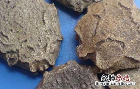 中药木鳖子的功效与作用 木鳖子的功效与作用