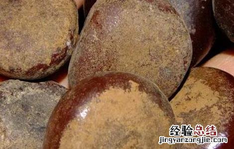木腰子的功效与作用家解答 木腰子的功效与作用
