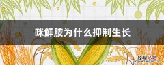 咪鲜胺为什么抑制生长 咪鲜胺能抑制作物生长吗