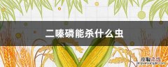 二嗪磷能杀什么虫椰心叶甲 二嗪磷能杀什么虫