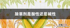 除草剂是酸性还是碱性 玉米田除草剂是酸性还是碱性