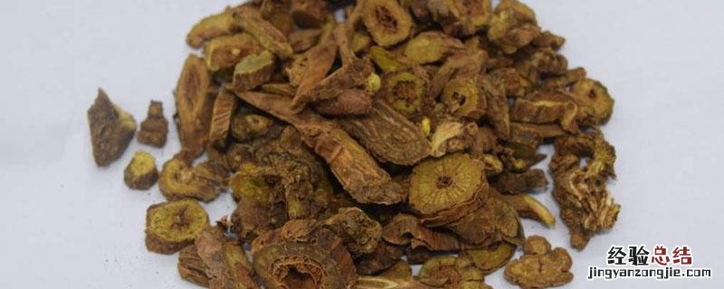黄岑是不是大黄 黄芩是什么样子的?